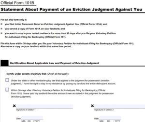 BANKRUPTCY COURT FORM 101b